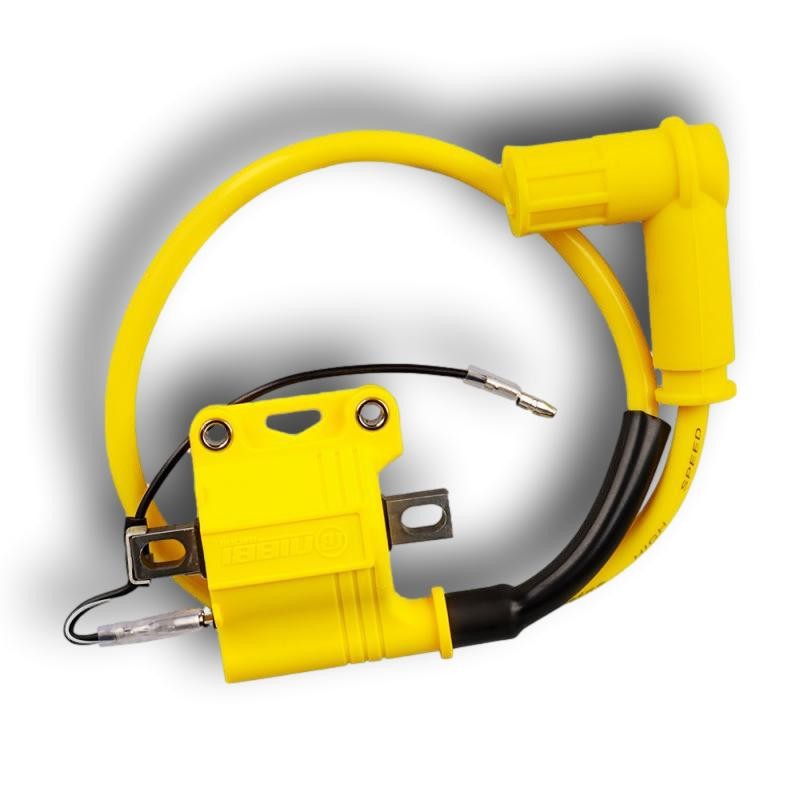 NIBBI COIL IGNITION 12 VOLTS ENGINES